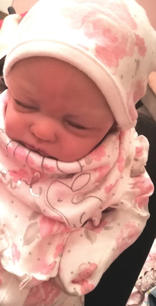 gumtree reborn baby dolls